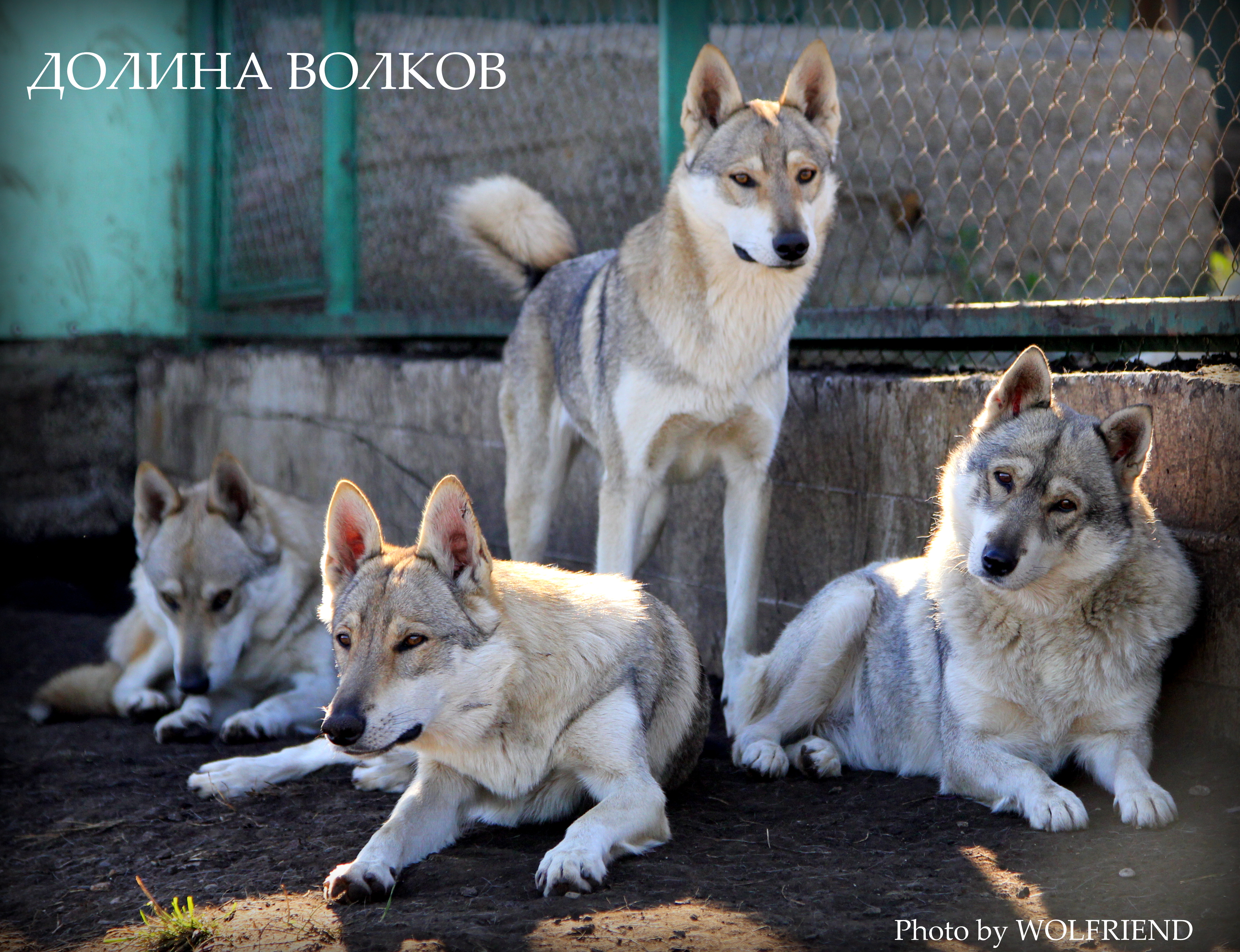 Дгкукская Долина Волчий холм