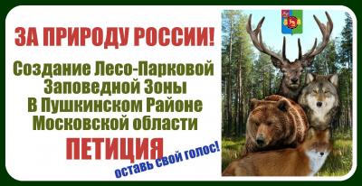 Создание лесопарковой заповедной зоны в Пушкинском Районе, Московской области